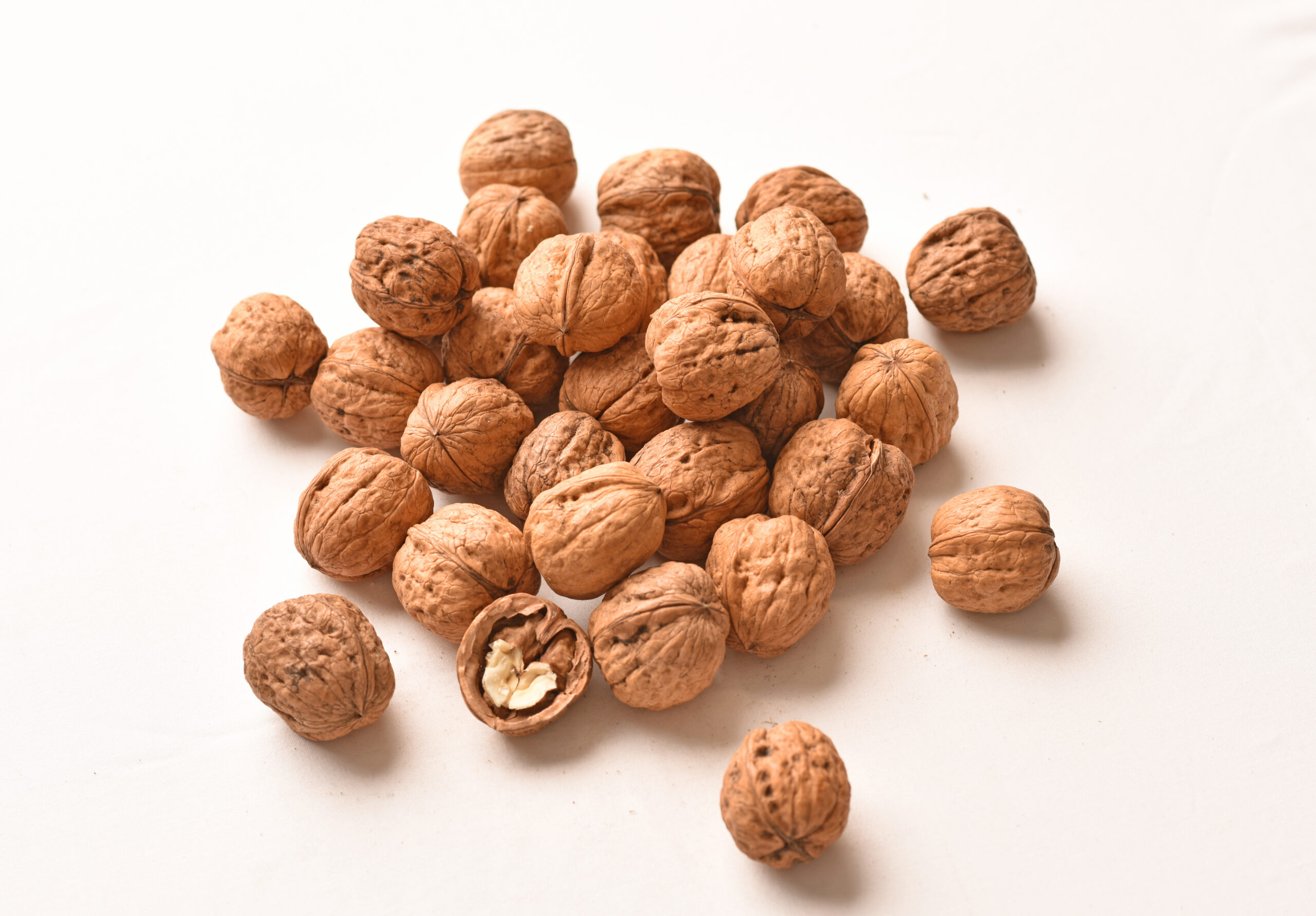 Australian Walnut in Shell - Image 2