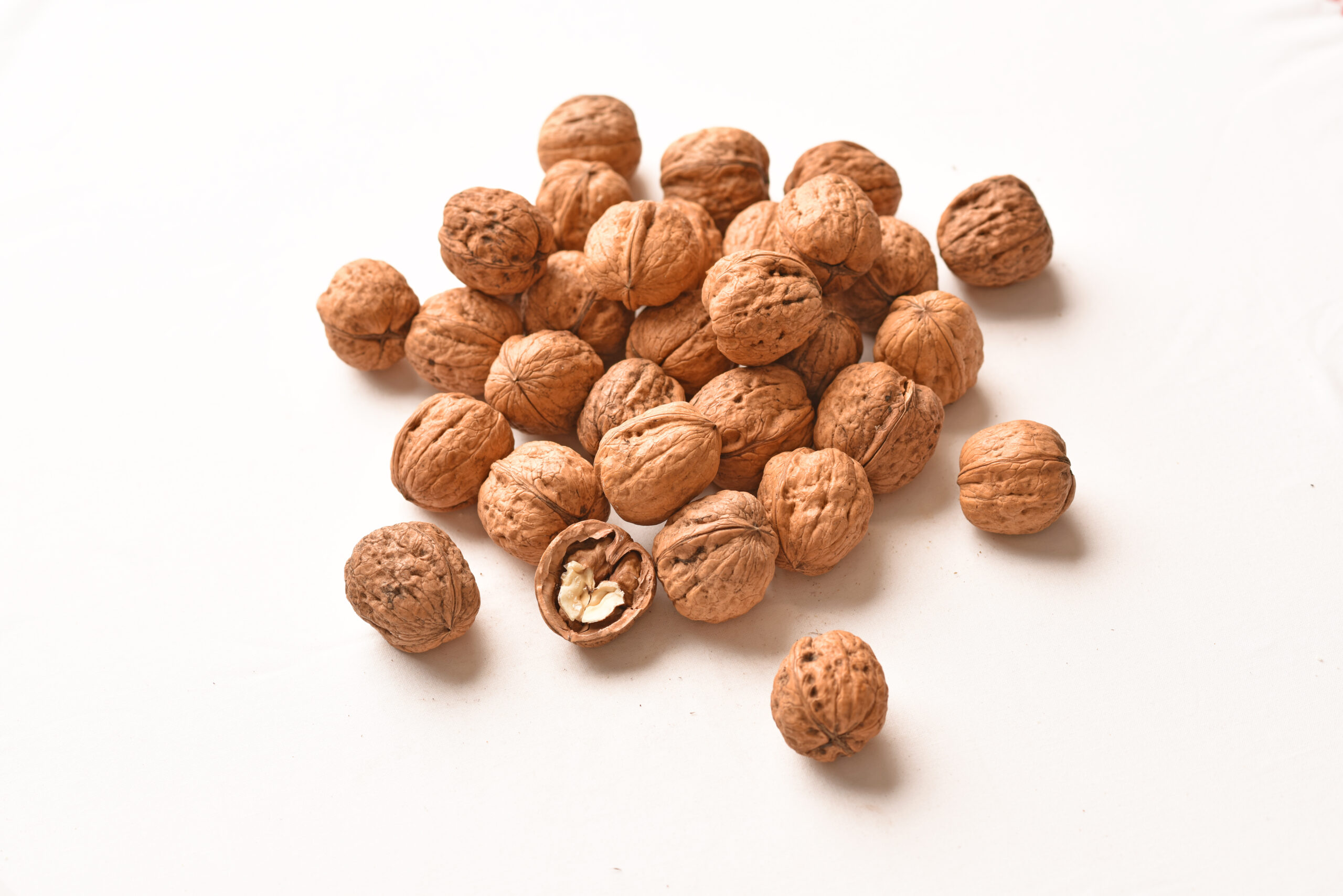 Australian Walnut in Shell