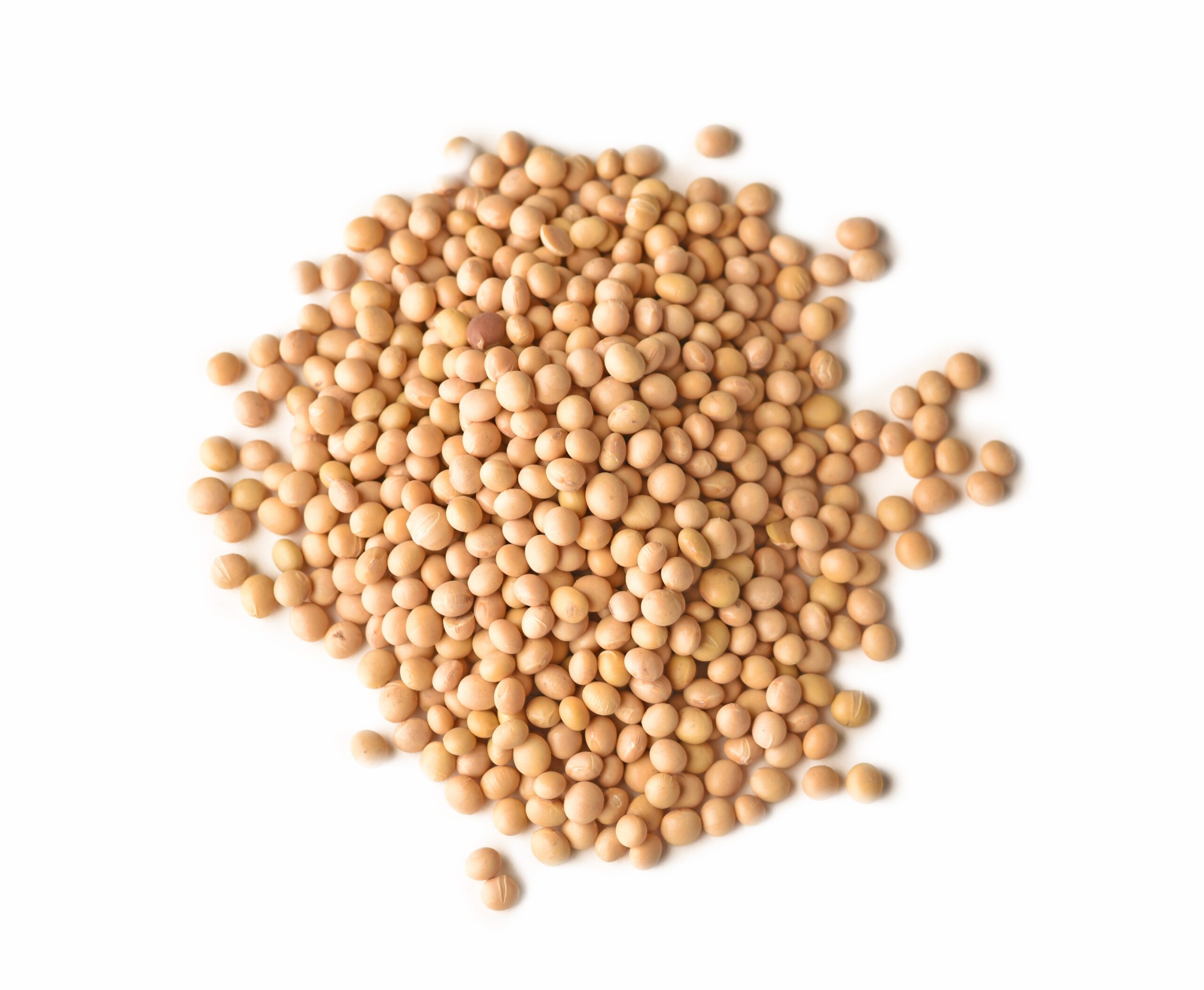 Soya Beans