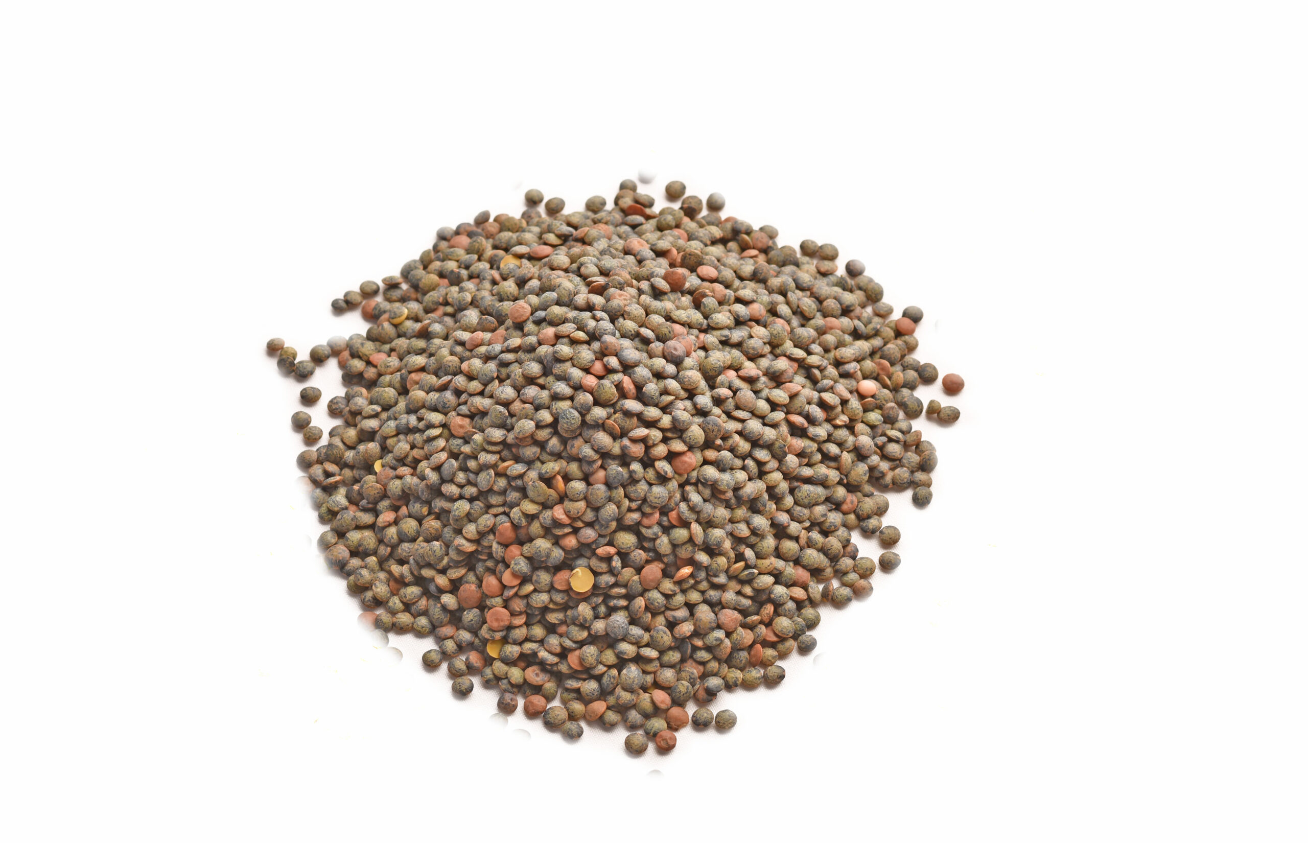 Dupuy Lentils