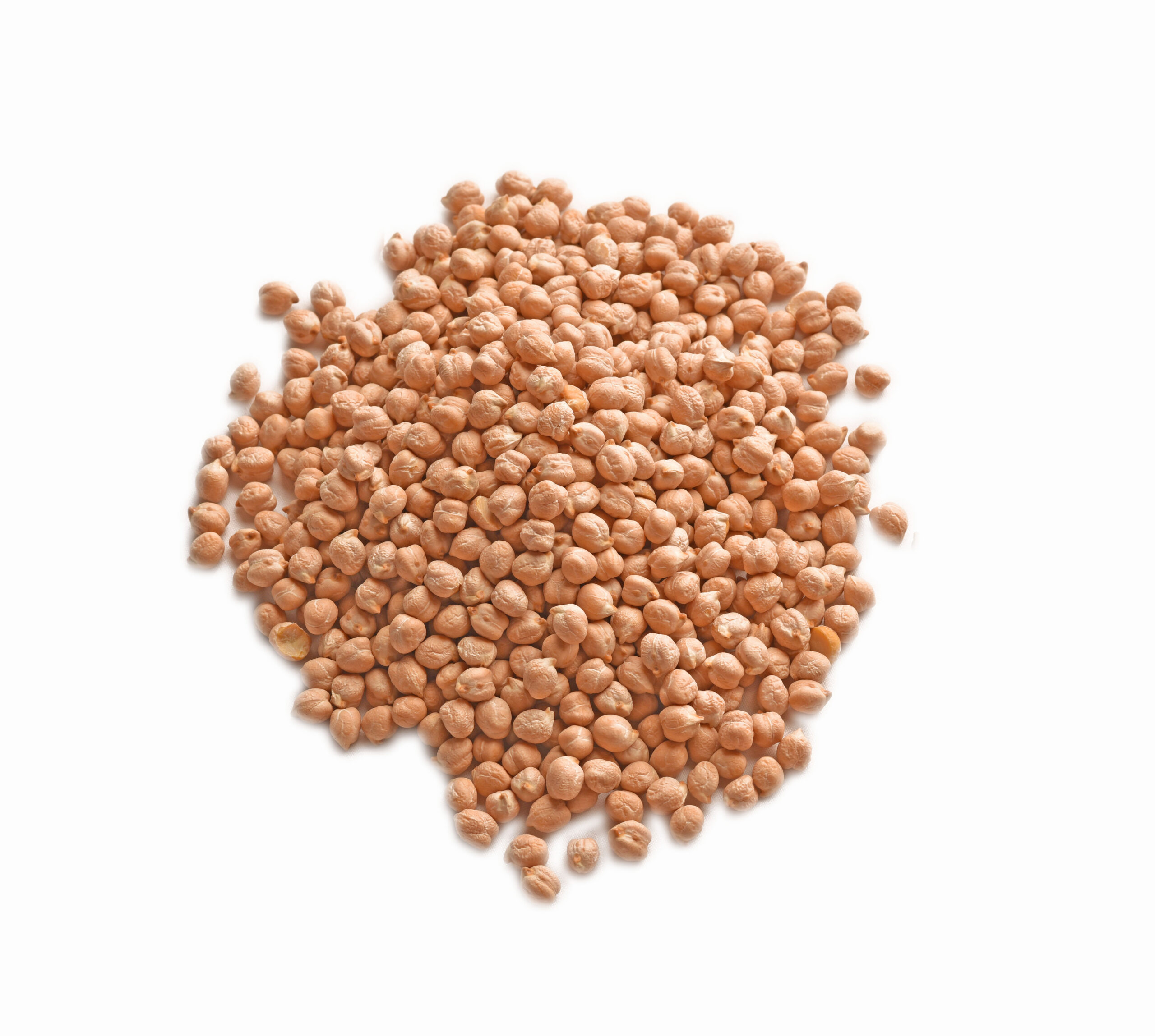 Large Raw Chickpea