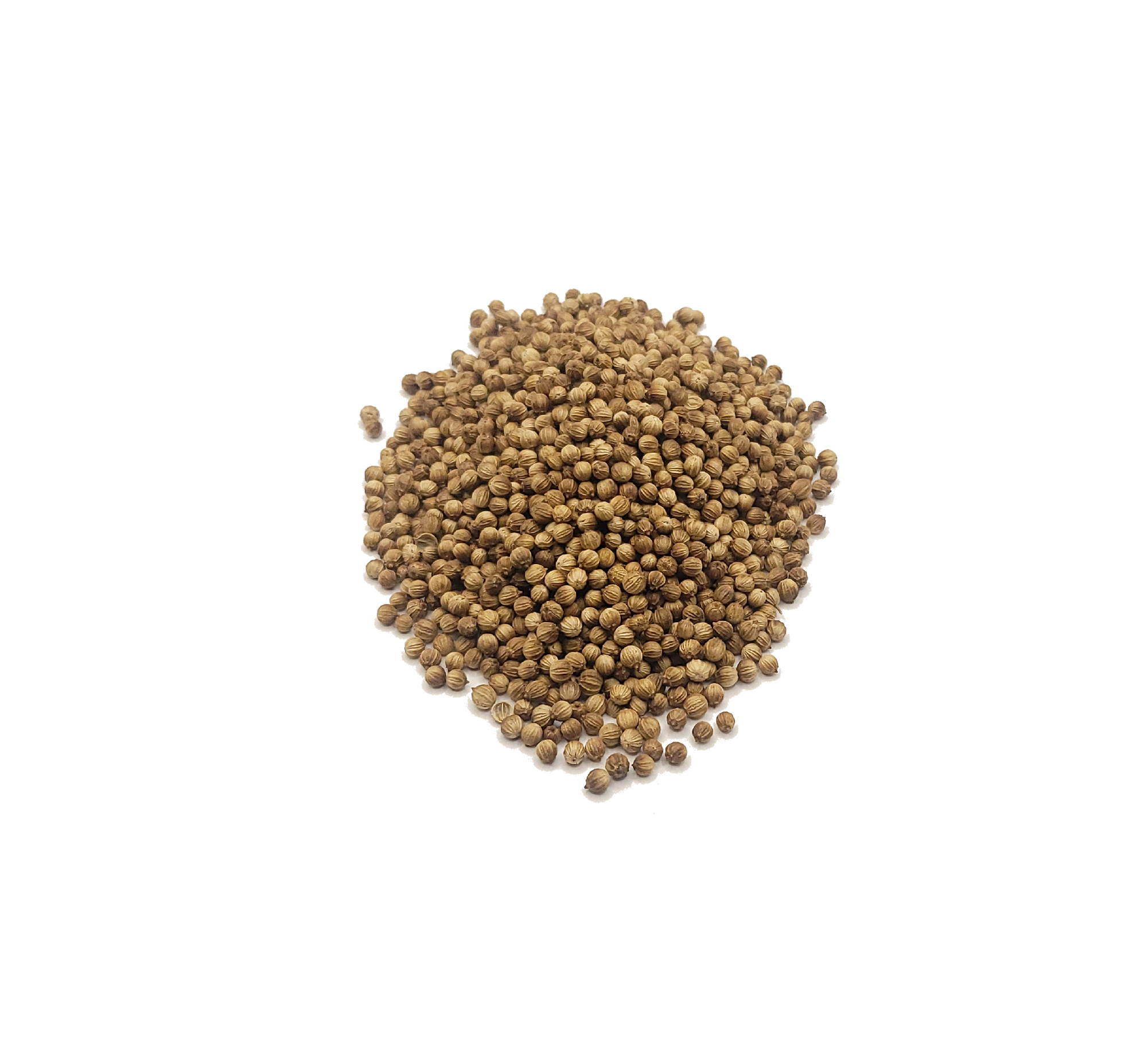 Coriander Seed